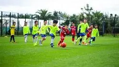 阿森纳雄心勃勃：不仅英超霸主在望，欧冠荣耀指日可待！内维尔独家预测未来两三年双冠辉煌！